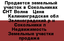 Продается земельный участок в Сокольниках СНТ Волна › Цена ­ 650 000 - Калининградская обл., Зеленоградский р-н, Сокольники п. Недвижимость » Земельные участки продажа   